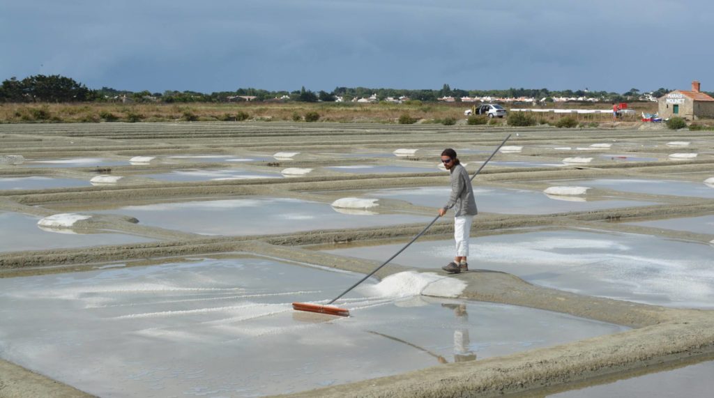 Paludier qui récolte du sel dans son marais salant