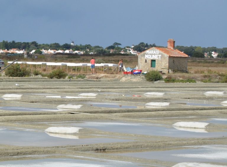 Ma visite d'un marais salant à Noirmoutier la fleur de sel • Food