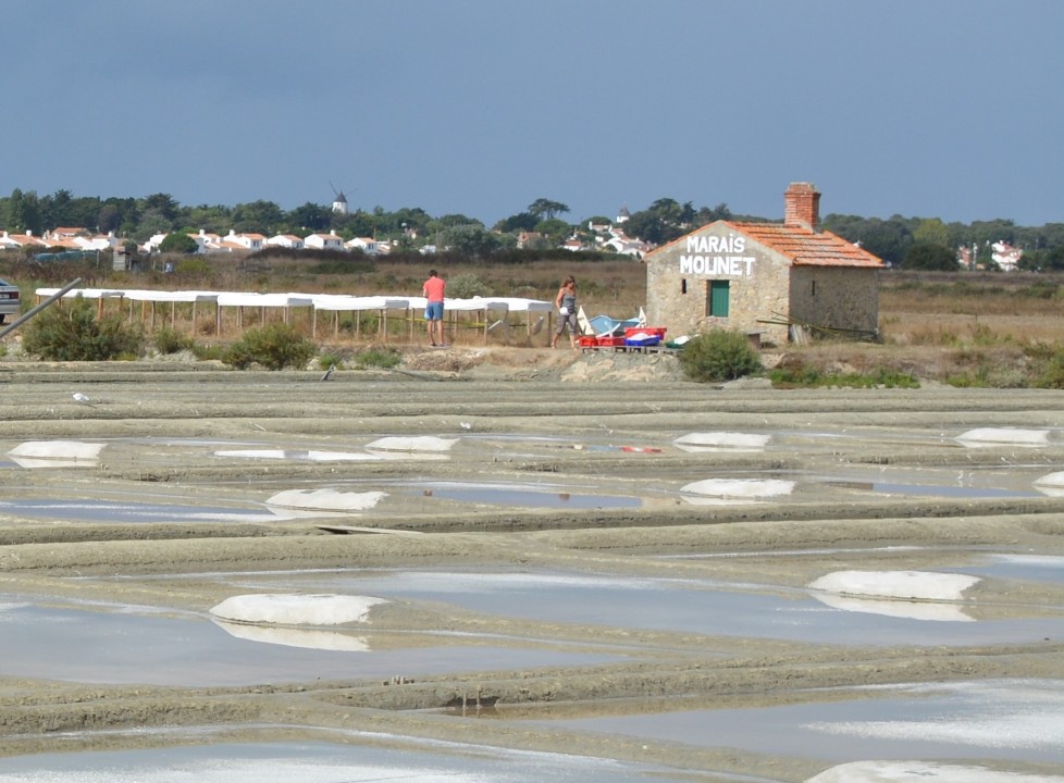 Marais salant avec des personnes qui transportent le sel et une cabane portant le nom Marais Mounet