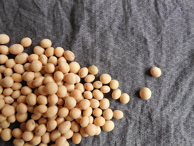 tas de grains de soja sur un tissu gris