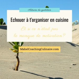 Lire la suite à propos de l’article Echouer à tenir ton organisation en cuisine : et si ce n’était pas un problème de motivation ?