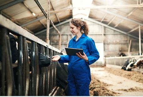 Femme habillée en combinaison bleue tenant un cahier qui donne à manger à une vache dans une étable