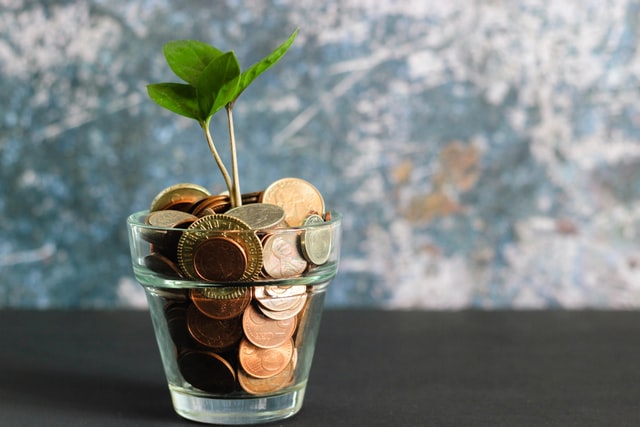 plante qui pousse dans un verre rempli de pièces